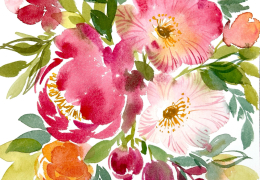 Orchid Studio