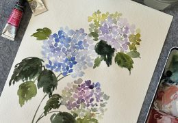 Orchid Studio